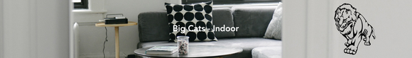 Big Cats Fusion Decals