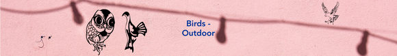 Birds - Outdoor Fusion Decals