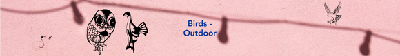 Birds - Outdoor