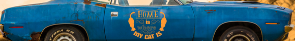 Cat - Quotes Fusion Decals