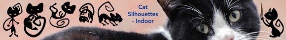 Cat Silhouettes - Indoor