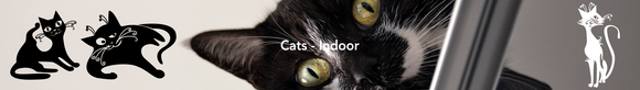 Cats Fusion Decals