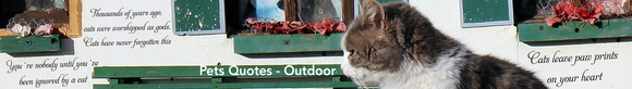 Pets - Quotes - Outdoor Fusion Decals