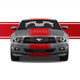 20" Racing Stripes w/pins Self Healing Vinyl fits Ford Mustang 2010 to 2014