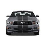 Dual 10" Racing Stripes w/pins Self Healing Vinyl fits Ford Mustang 2010 to 2014