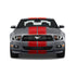 Dual 10" Racing Stripes w/pins Self Healing Vinyl fits Ford Mustang 2010 to 2014
