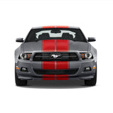 Dual 10" Racing Stripes w/pins Self Healing Vinyl fits Ford Mustang 2010 to 2014