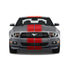 Dual 11" Racing Stripes w/pins Self Healing Vinyl fits Ford Mustang 2010 to 2014