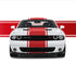 24" Racing Stripe w/pins Self Healing fits Dodge Challenger Hellcat 2018 to 2021