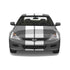 Dual 10" Racing Stripes Self Healing Vinyl fits Honda Accord 2003 to 2007