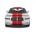 Dual 12" Racing Stripes with Pins Self Healing Vinyl fits Dodge Charger 2006-2010