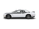 Double Stripes RT Lettering Vinyl Livery Kit Fits Dodge Challenger 2015 - 2023