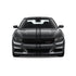 Racing Stripes & pinstripes [3x] 2" , .75", 2" x 70" Self Healing Air Release Vinyl Fits All Vehicles