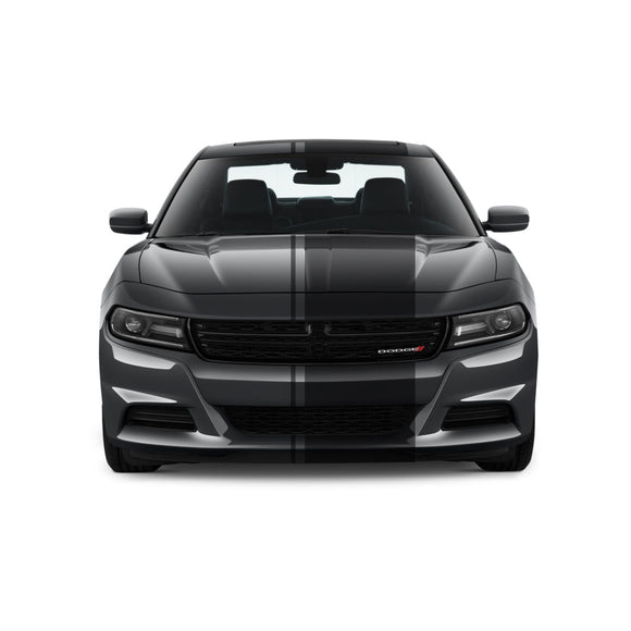 Dual Racing Stripes [3x] 1