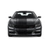 Dual Racing Stripes [3x] 3" , 2", 24" x 70" Self Healing Air Release Vinyl Fits All Vehicles