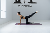 Cityscape Winnipeg Canada with Text Vinyl Decal Removable Matte Finish Skyline Decore for Indoor Walls Fusion Decals