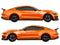 Ford Mustang vinyl livery stripe kit, racing stripe kit detail