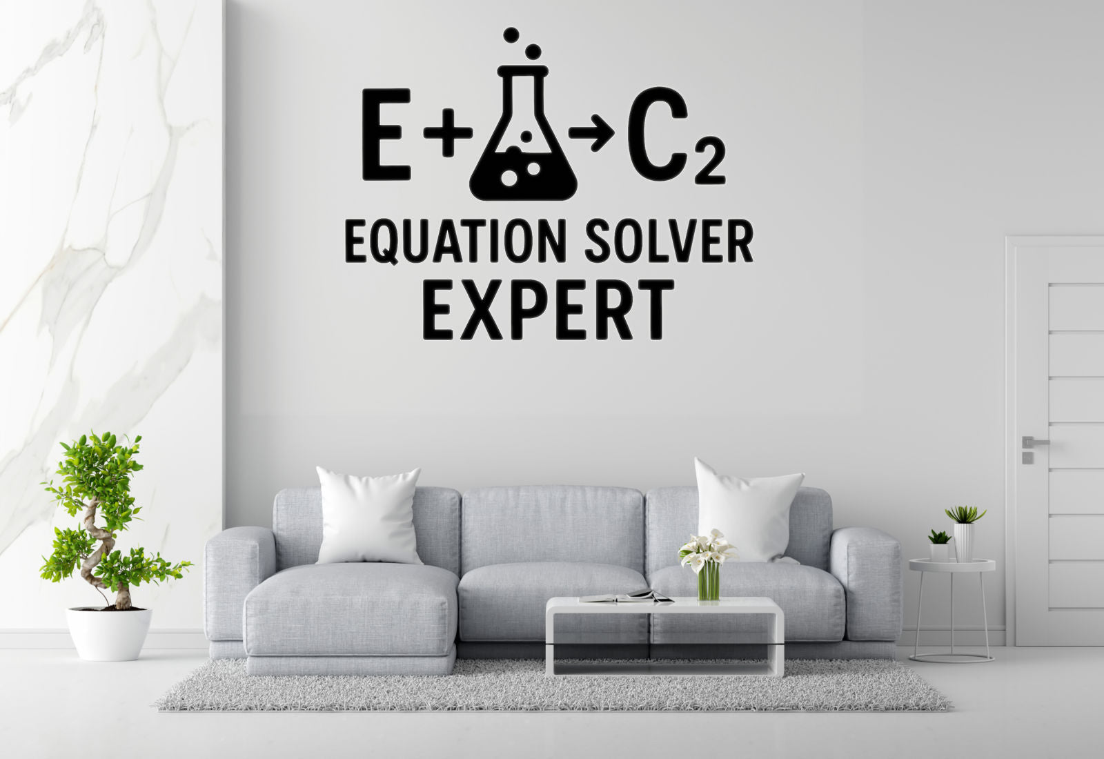 Equation Solver Expert - Funny Chemistry Wall Decal Vinyl Sticker Removable