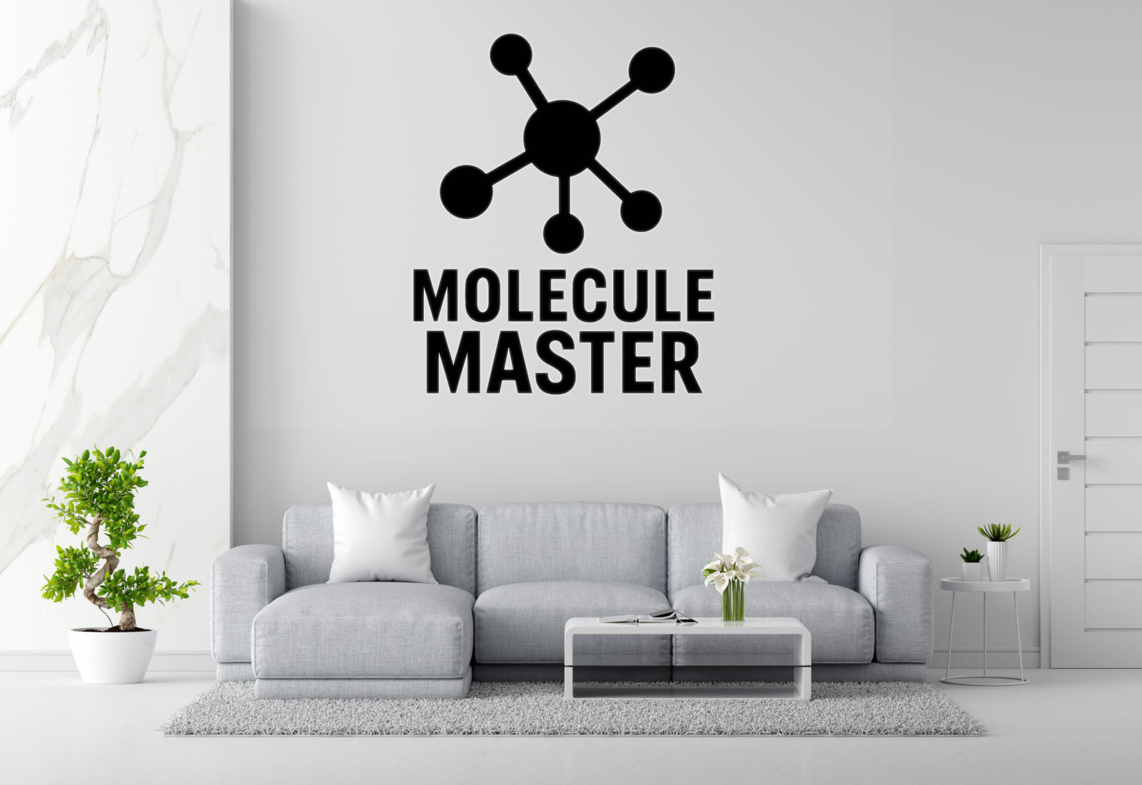 Molecule Master - Funny Chemistry Wall Decal Vinyl Sticker Removable