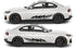 Rocker Panel Livery Self Healing Vinyl Side Graphics #011 fits All 2 Door Cars