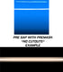 Dual 10" Racing Stripes Self Healing Vinyl fits Hyundai Veloster 2011 to 2020