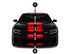 Racing Stripes with Self Healing Wrap