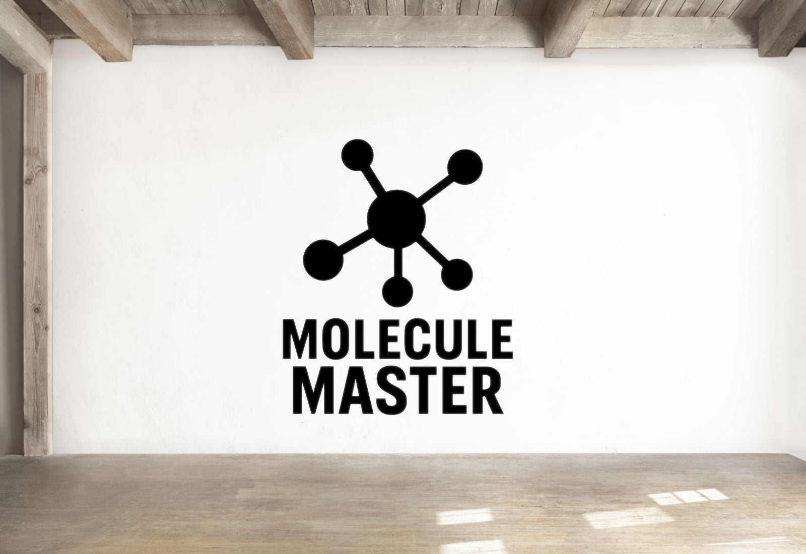 Molecule Master - Funny Chemistry Wall Decal Vinyl Sticker Removable
