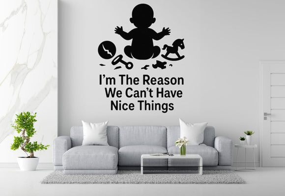I'm The Reason We Can't Have Nice Things - Funny Baby Room Wall Decal Vinyl Sticker Removable