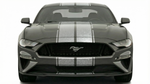 Dual 12" Racing Stripes w/pins Self Healing Vinyl fits Ford Mustang 2015 2023