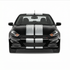 Dual 10" Racing Stripes Air Release Self Healing Vinyl fits Dodge Dart 2012-2016