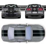 Dual 10" Racing Stripes w/pins Self Healing Vinyl fits Ford Mustang 2010 to 2014