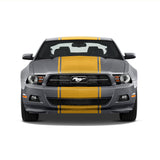 20" Racing Stripes w/Pins [24"]- "fits" - Ford Mustang 2010 to 2014