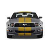 Dual 11" GT 5.0 Racing Stripes w/Skirts [24"] - "fits" - Ford Mustang 2010 to 2014