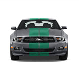 Dual 11" GT 5.0 Racing Stripes w/Skirts [24"] - "fits" - Ford Mustang 2010 to 2014