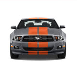 Dual 11" GT 5.0 Racing Stripes w/Skirts [24"] - "fits" - Ford Mustang 2010 to 2014