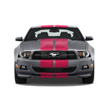 Dual 11" GT 5.0 Racing Stripes w/Skirts [24"] - "fits" - Ford Mustang 2010 to 2014