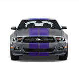 Dual 11" GT 5.0 Racing Stripes w/Skirts [24"] - "fits" - Ford Mustang 2010 to 2014