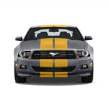 Dual 11" GT 5.0 Racing Stripes w/Skirts [24"] - "fits" - Ford Mustang 2010 to 2014