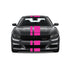 Dual Racing Stripes [3x] 3", 2", 8" x 74" - Vinyl Decals - Fits All Vehicles Fusion Decals