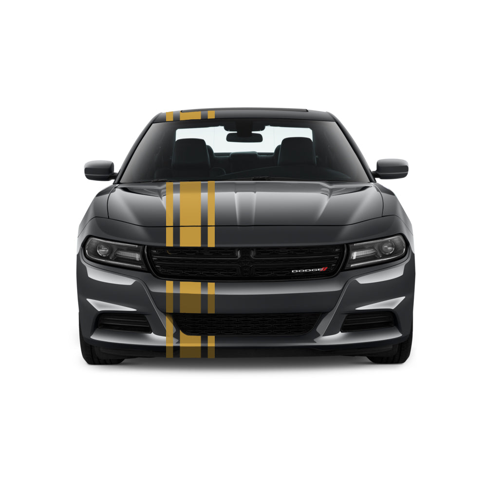 Dual Racing Stripes [3x] 6