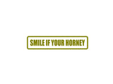 Smile if your Horney Outdoor Vinyl Wall Decal - Permanent