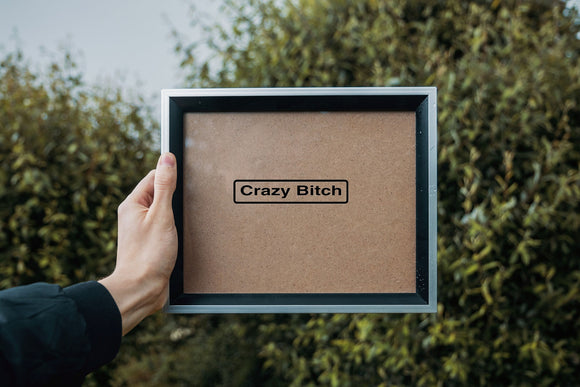 Crazy Bitch Outdoor Vinyl Wall Decal - Permanent - Fusion Decals