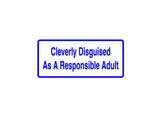 Cleverly Disguised  Outdoor Vinyl Wall Decal - Permanent