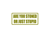 Are you stoned or just stupid Outdoor Vinyl Wall Decal - Permanent