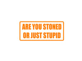Are you stoned or just stupid Outdoor Vinyl Wall Decal - Permanent