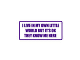 I live in my own little worth but its ok Outdoor Vinyl Wall Decal - Permanent