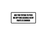 Are you trying to pick me up? One asshole in my pants is enough Outdoor Vinyl Wall Decal - Permanent