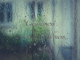 Cleanliness is next to Godliness  Car or Wall Vinyl Decal - Fusion Decals