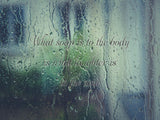 What soap is to the body is what laughter is to the soul Car or Wall Vinyl Decal - Fusion Decals