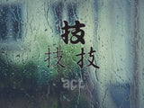 Act Style 01 Kanji Symbol Character  - Car or Wall Decal - Fusion Decals